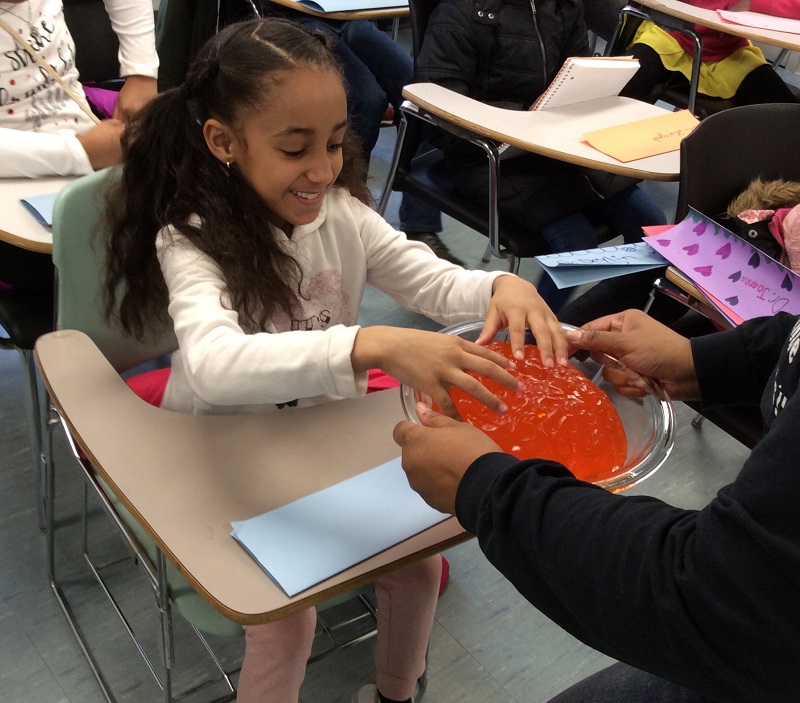 0423aprilinniss_olivia-matthews_cropped Olivia Matthews (left) examines a brain made from a Jell-O mold, a popular prop used by Dr. Inniss. (Photo courtesy of April Inniss)