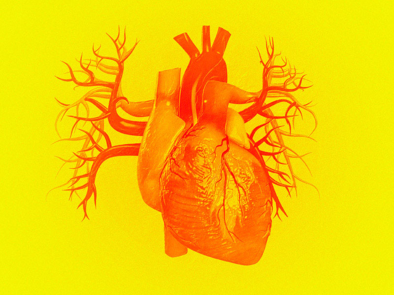 0426rrhormonalcancertherapycardiovascular_sc Mehau Kulyk/Science Photo Library, Getty Images